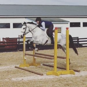 dappled grey horse jumping