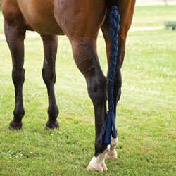 Protect your horse’s tail with a braid