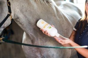 EcoLicious Squeaky Horse Shampoo